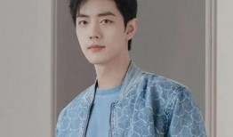 肖战最新爆料热门,最新爆料背后的故事与感悟