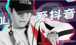 抖音猪八戒爆料视频在线观看,揭秘幕后故事，带你走进猪八戒的世界