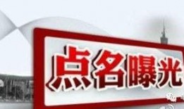 媒体爆料普尔言论视频大全,媒体爆料揭示惊人真相